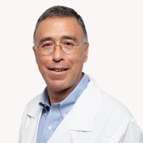 Vito-fazio